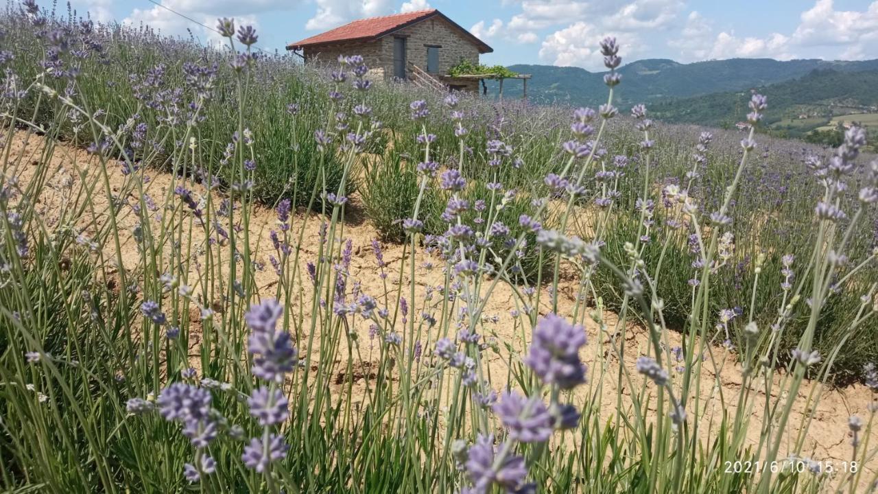 Cascina Boschetto Panzió Saliceto Kültér fotó
