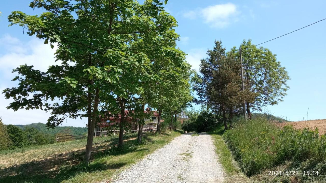 Cascina Boschetto Panzió Saliceto Kültér fotó