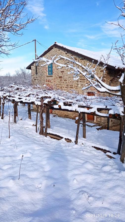 Cascina Boschetto Panzió Saliceto Kültér fotó