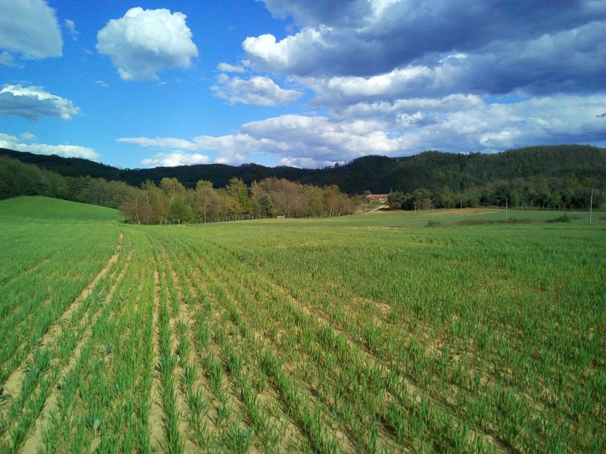 Cascina Boschetto Panzió Saliceto Kültér fotó