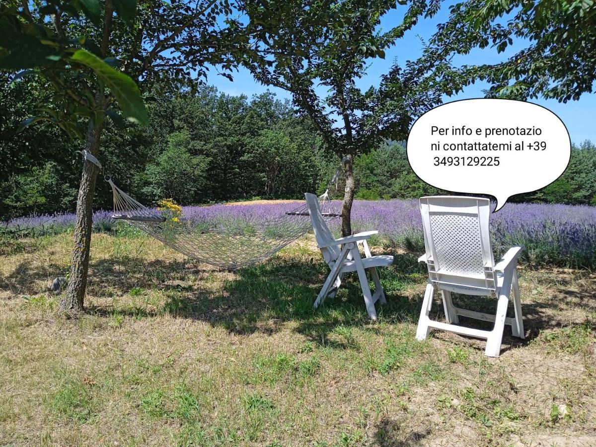 Cascina Boschetto Panzió Saliceto Kültér fotó